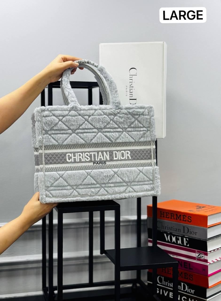 christian dior canta