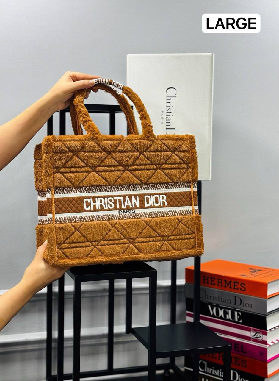 christian dior canta